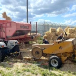 zondag_stefan_adriaans_2026_011_big